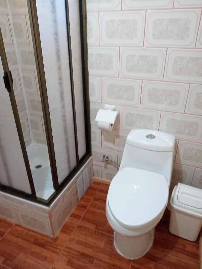 Bed and Breakfast Flor/Victoria Вильяррика Экстерьер фото