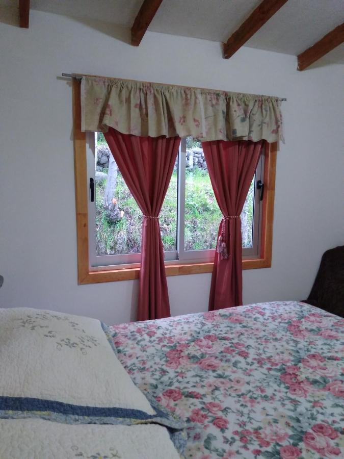 Bed and Breakfast Flor/Victoria Вильяррика Экстерьер фото